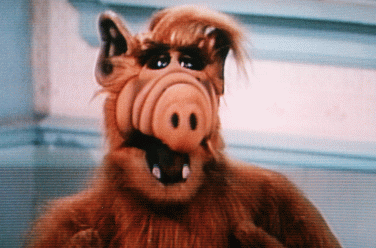 Alf, O Eteimoso !